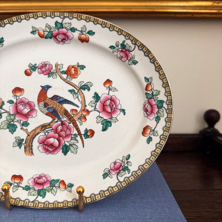 Antique F. Winkle Whieldon Ware Pheasant Platter