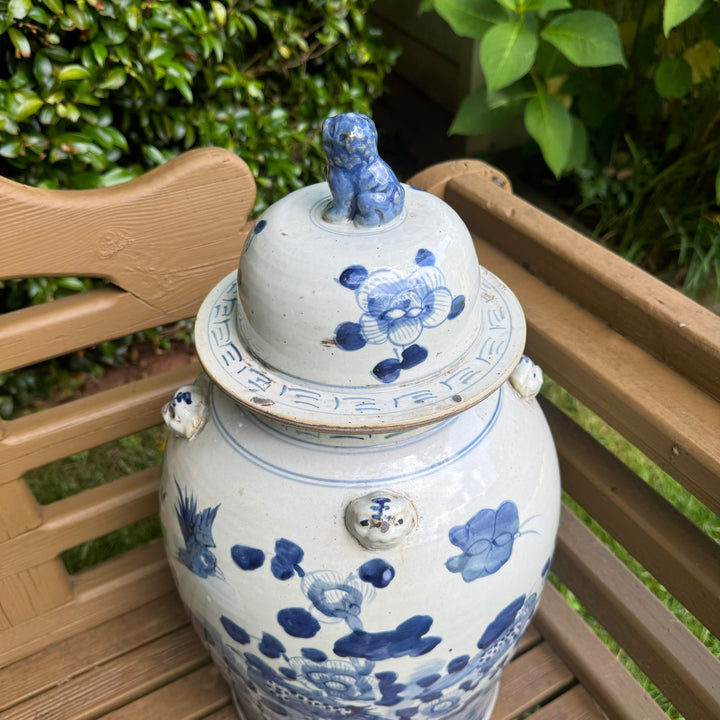 Large Classic Blue and White Floral and Bird Temple Jar