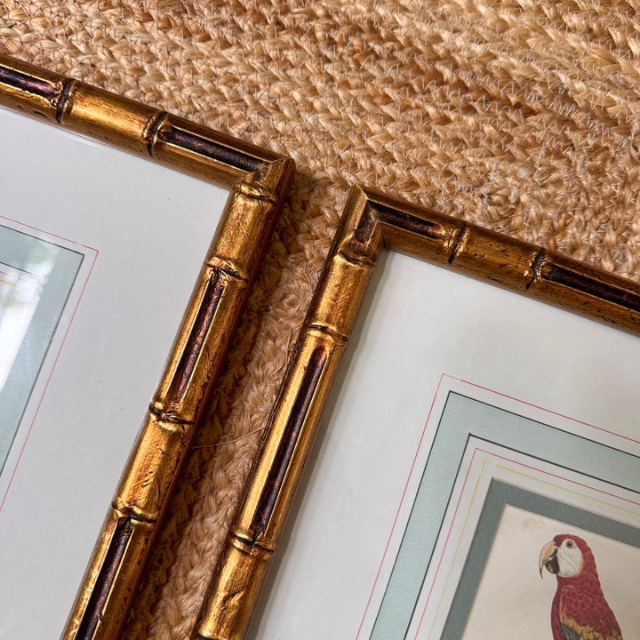 Pair of Mario Buatta Framed Parrot Prints in Gold Bamboo Frames