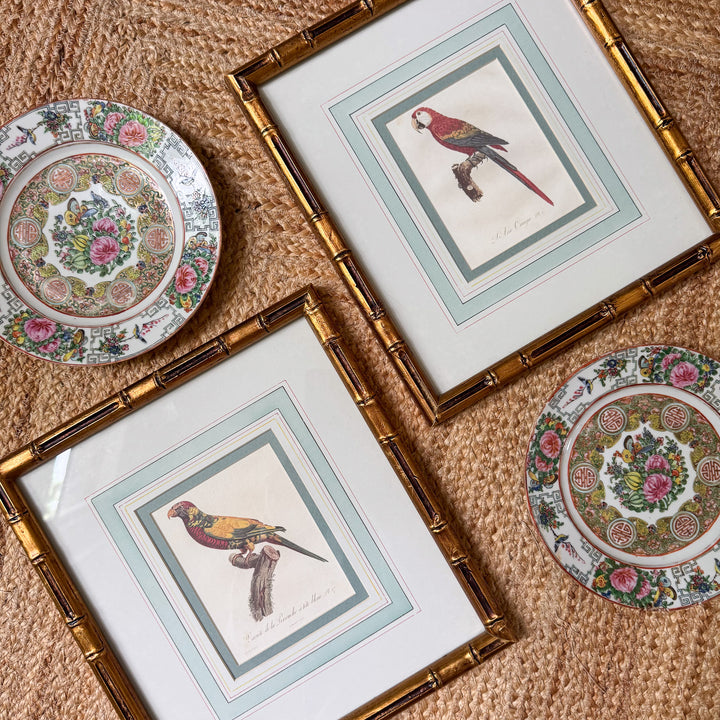 Pair of Mario Buatta Framed Parrot Prints in Gold Bamboo Frames