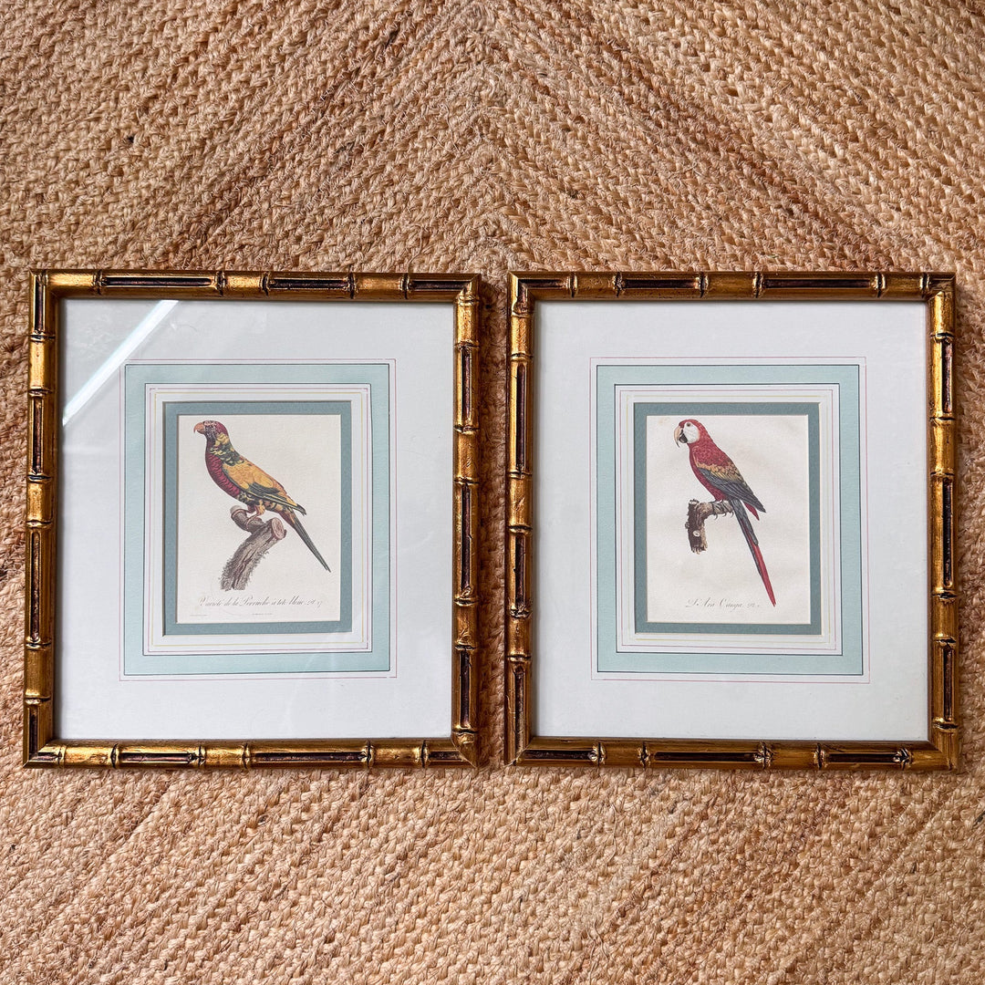 Pair of Mario Buatta Framed Parrot Prints in Gold Bamboo Frames