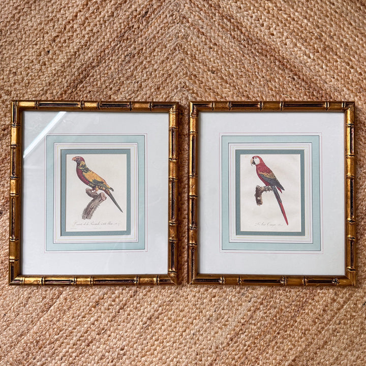 Pair of Mario Buatta Framed Parrot Prints in Gold Bamboo Frames