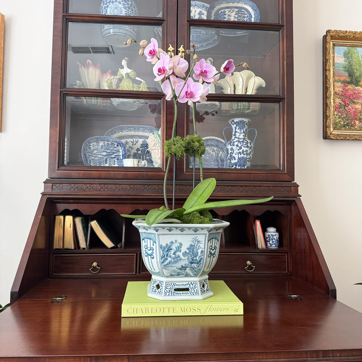 Chinoiserie Octagonal Planter with Greek Key Border