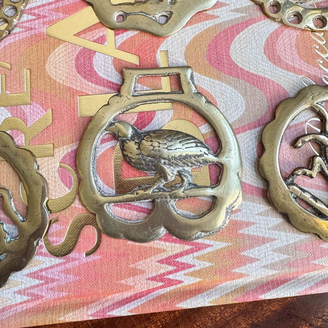 English Horse Brass