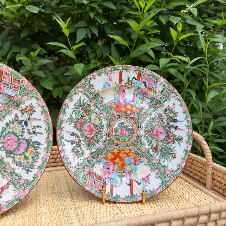Pair of Antique Rose Medallion 10" Plates